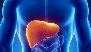 Home Remedies for Liver Detoxification