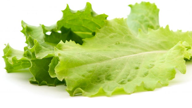 Health benefits of lettuce