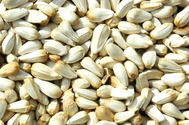 Safflower Seeds Health Benefits