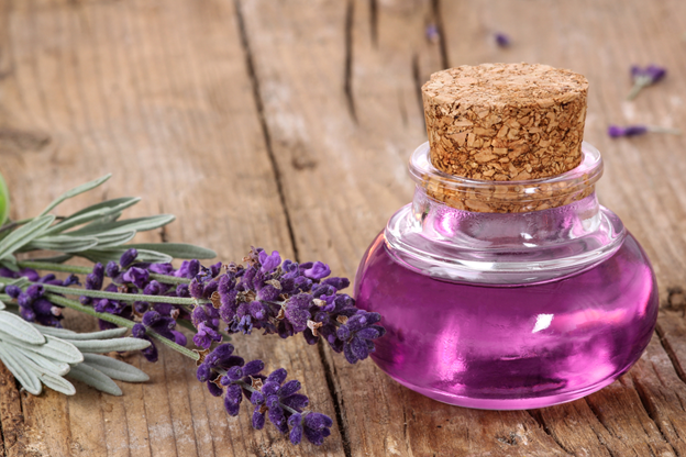 Top uses of Lavender Oil