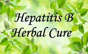 Natural Treatment for Hepatitis B